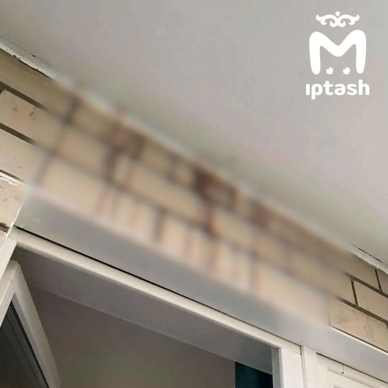 На трупный смрад жалуются жильцы на Авангардной в Челнах На трупный смрад жалуются жильцы на Авангардной в Челнах