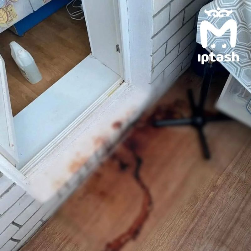 На трупный смрад жалуются жильцы на Авангардной в Челнах