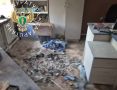 � ���������� ��������� ����� ������ ����� 61 �������� ������ � �������� ����� ���������