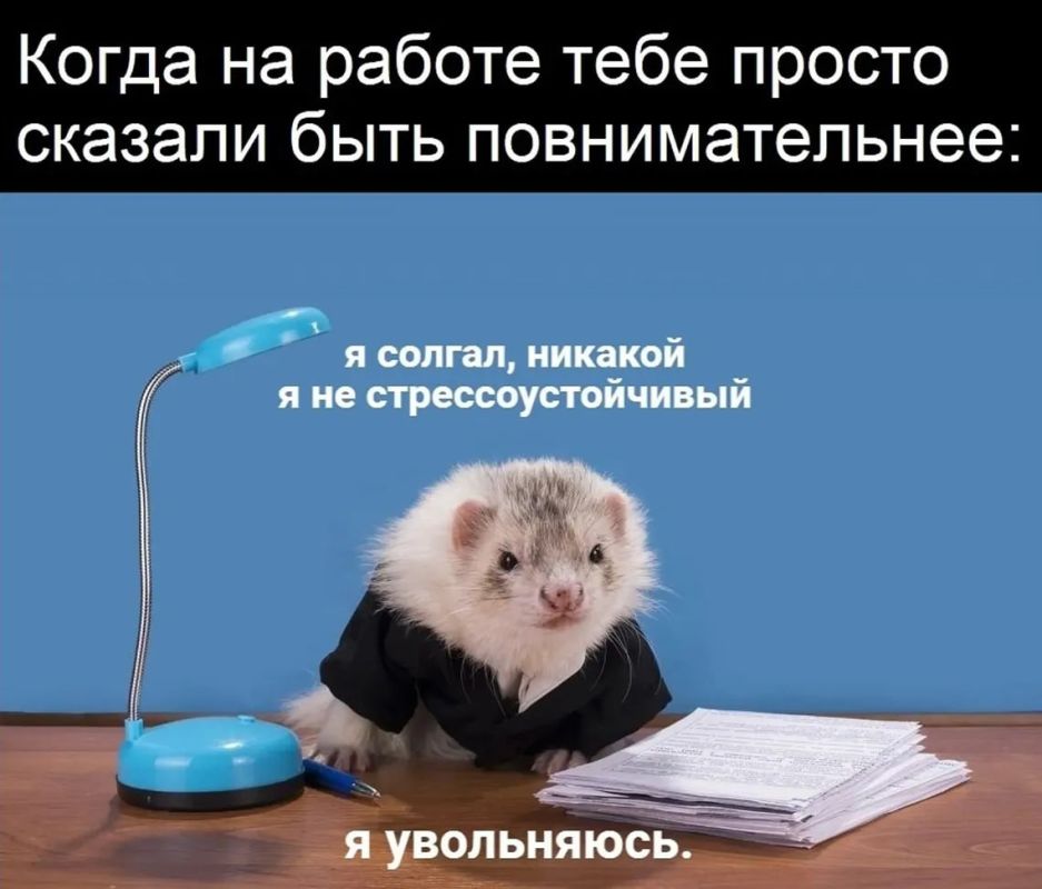 Не спешите с увольнением — такой совет дал эксперт россиянам, которые хотят уйти с работы в ближайшее время