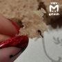 �� ��������� ����������� �3 ��������� �� �������� ����������, � � ��������� �������� � �������