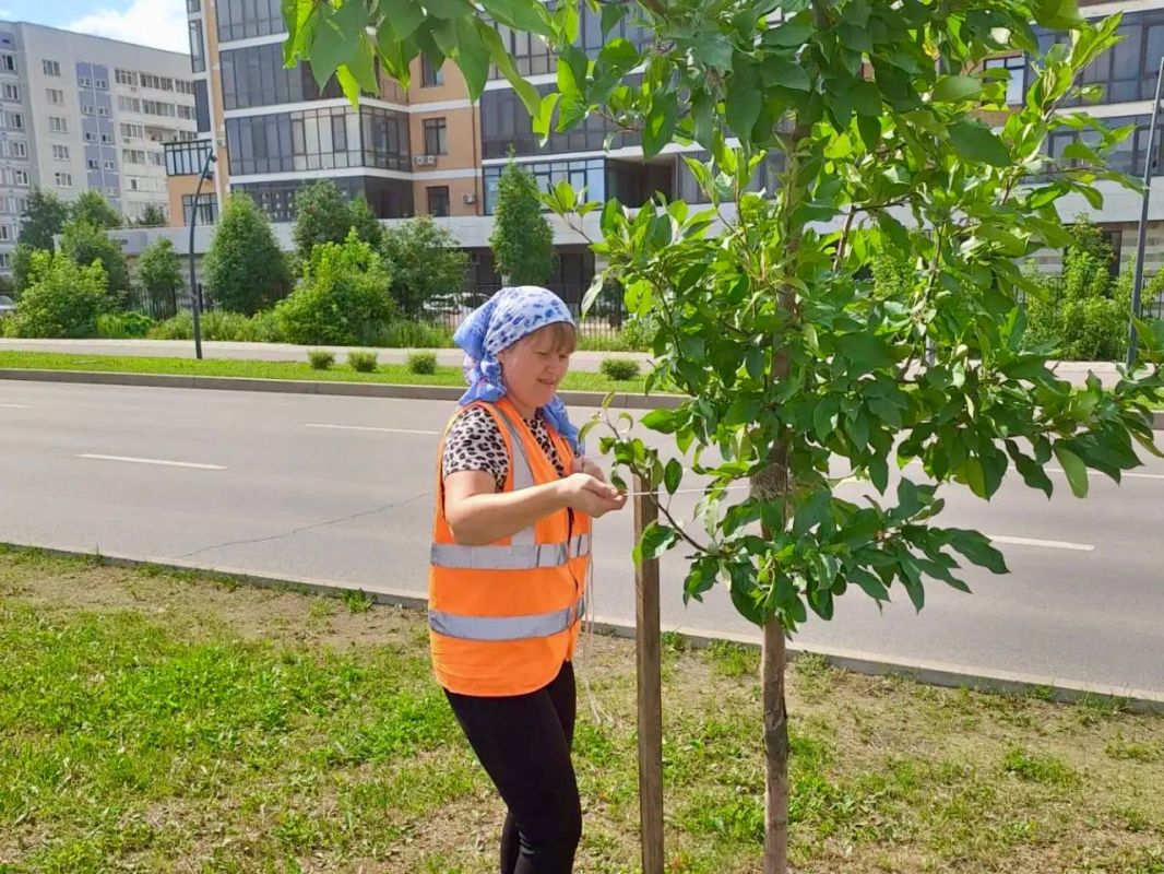 Чистота и порядок в парках и скверах — каждый день! Чистота и порядок в парках и скверах — каждый день!