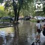 Новый приток Казанки нашли на Ямашева