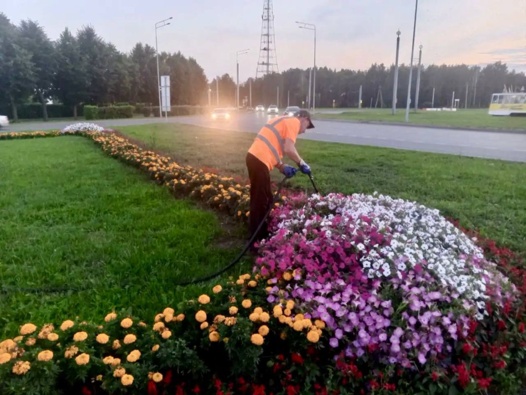 Чистота и порядок в парках и скверах — каждый день! Чистота и порядок в парках и скверах — каждый день!