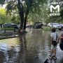 Новый приток Казанки нашли на Ямашева
