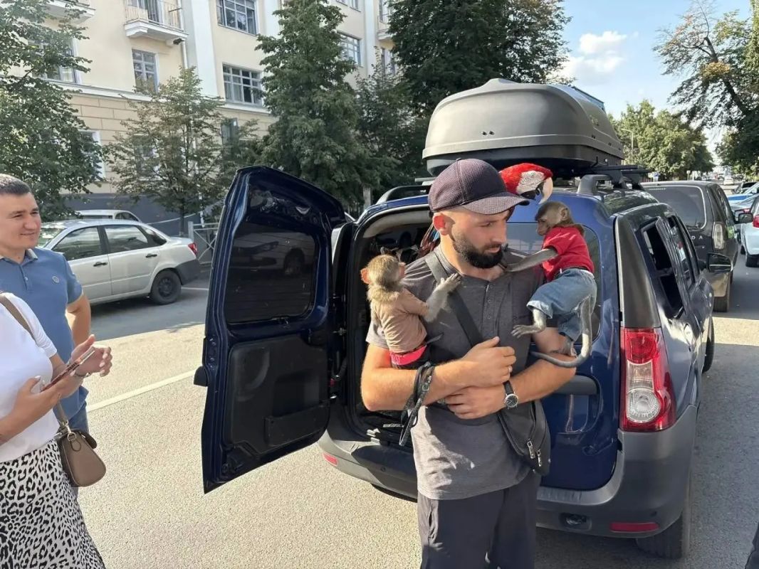 Обезьяны и попугай на Баумана больше не позируют за деньги
