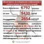 У 13 человек в Татарстане выявили боррелиоз после укуса клещей