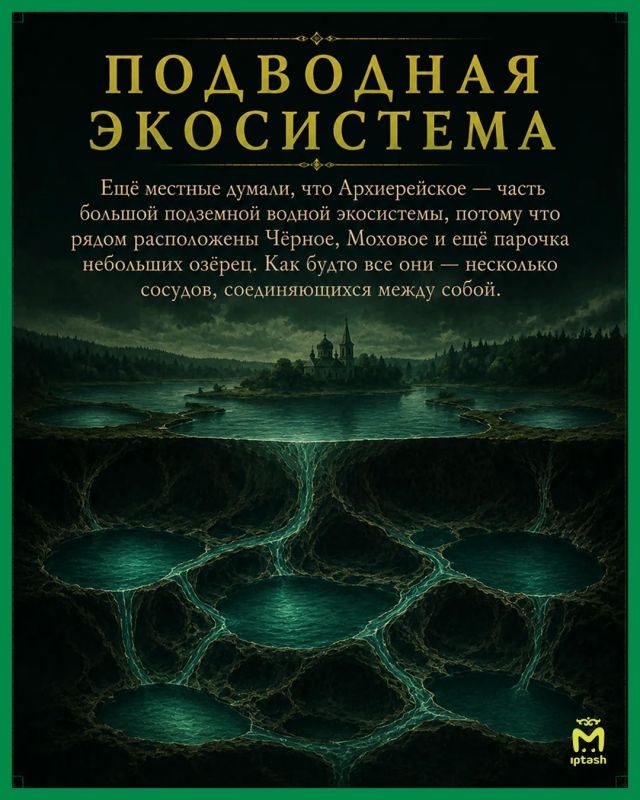 Недавно сапбордисты сплавлялись по Архиерейскому озеру и напряглись от непонятных движений на поверхности воды Недавно сапбордисты сплавлялись по Архиерейскому озеру и напряглись от непонятных движений на поверхности воды