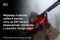 В эти выходные в Татарстане стартует сезон охоты, который стал беспрецедентным: впервые с дореволюционных времен в республике разрешили охоту на бурого медведя, но лишь в частных угодьях