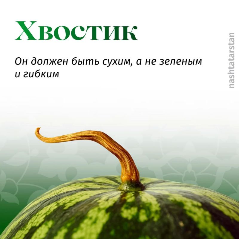 Какие способы помогают вам выбрать вкусный арбуз? Какие способы помогают вам выбрать вкусный арбуз?