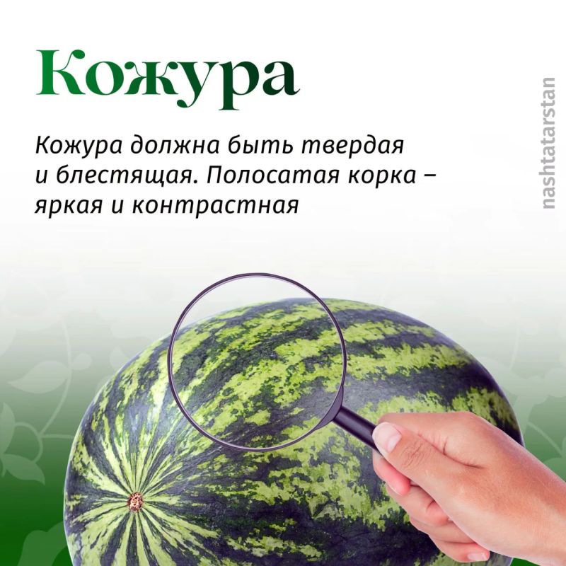 Какие способы помогают вам выбрать вкусный арбуз? Какие способы помогают вам выбрать вкусный арбуз?