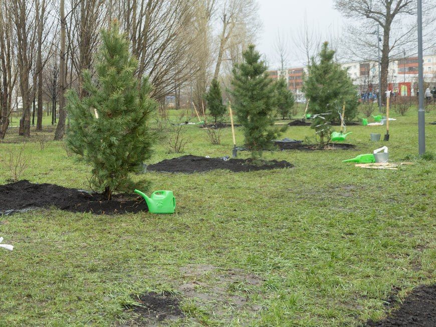 В парках и скверах Казани высадили более 1,2 тыс