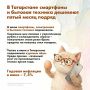 Что влияло на динамику цен в Татарстане в июне?