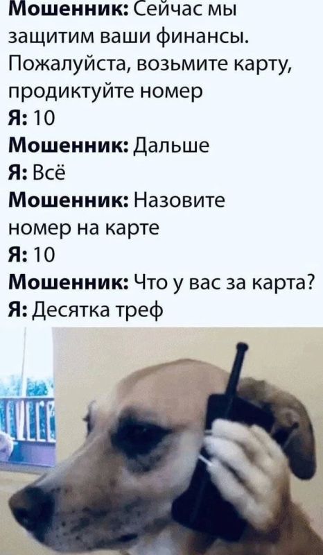 Роспотребнадзор по РТ предупредил бизнес о мошеннических письмах от имени ведомства