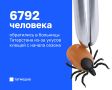 В Татарстане число жалоб на укусы клещей снизилось на 30%