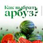 Какие способы помогают вам выбрать вкусный арбуз?