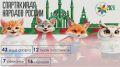 Столица Татарстана примет соревнования Спартакиады народов России по 11 видам спорта