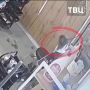 Ужесточить штраф до одного миллиона рублей за жестокое обращение с животными предложили в Совфеде