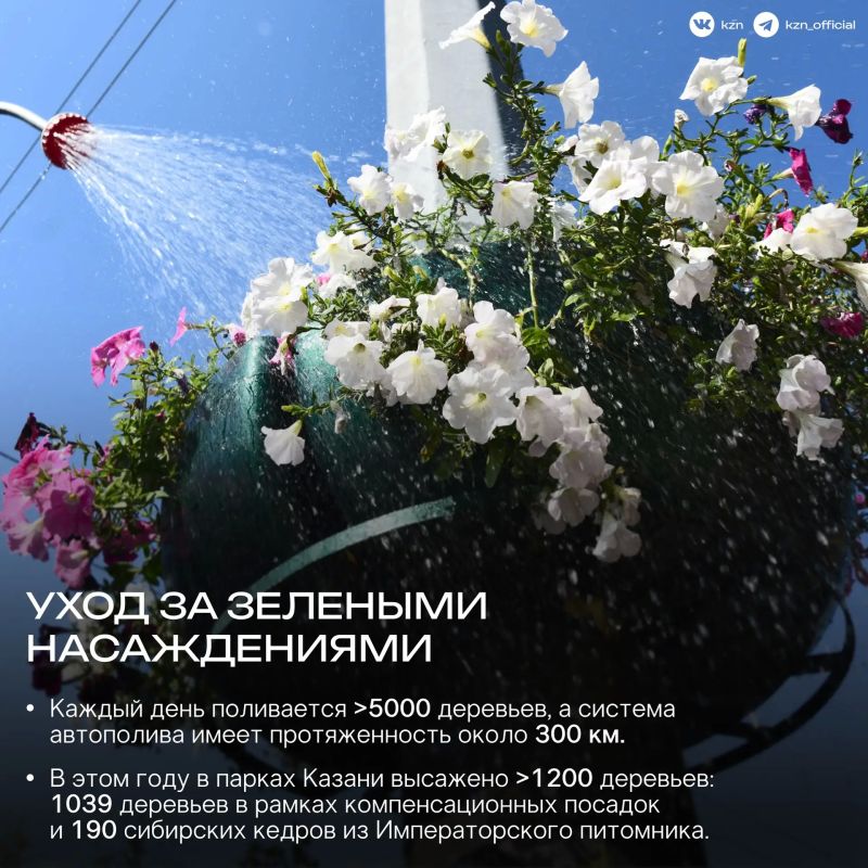 За каждым парком — ежедневная работа За каждым парком — ежедневная работа