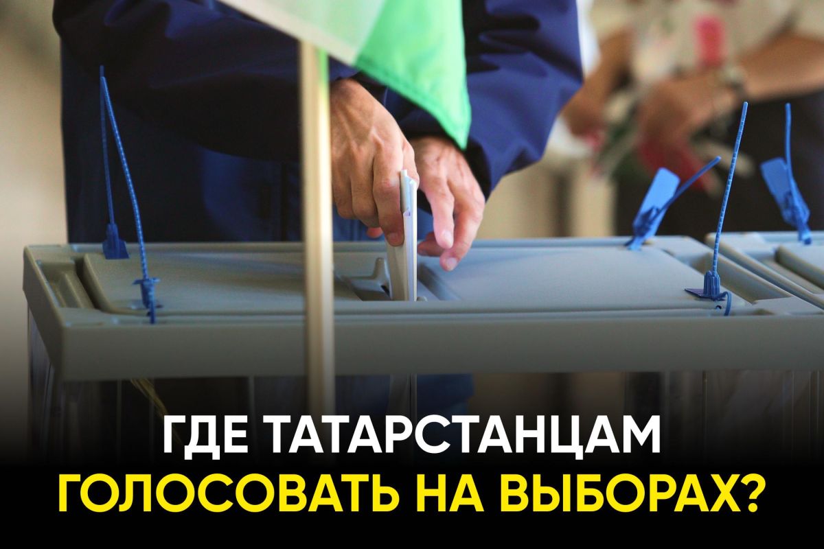 Выборы пройдут этой осенью