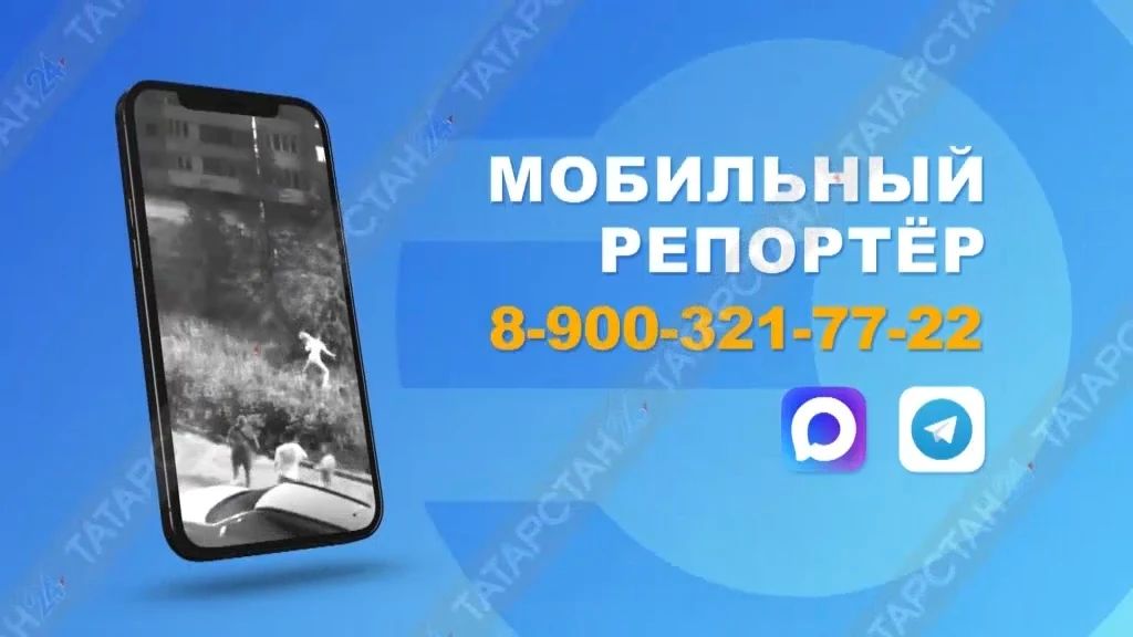 Тараканы в подъезде, огромная яма во дворе и пони без еды
