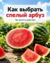Начался сезон арбузов. О том, как выбирать , чтобы не разочароваться — в наших карточках