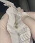 В Казани проверка документов закончилась уголовным делом — у водителя не было прав, а у пассажира были наркотики