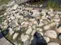 В парке Салават Купере есть увлечение для каждого
