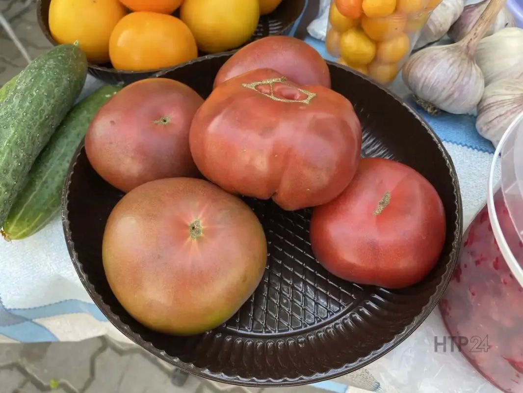 Овощное изобилие царит на нижнекамских рынках: помидоры, огурцы, лук, морковь, свёкла, чеснок и жгучий перец — дачники продают всё, что вырастили с душой Овощное изобилие царит на нижнекамских рынках: помидоры, огурцы, лук, морковь, свёкла, чеснок и жгучий перец — дачники продают всё, что вырастили с душой