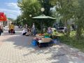 Овощное изобилие царит на нижнекамских рынках: помидоры, огурцы, лук, морковь, свёкла, чеснок и жгучий перец — дачники продают всё, что вырастили с душой