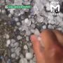 Шёл 188-й день февраля — град перебил зелень на дачах в Апастовском районе