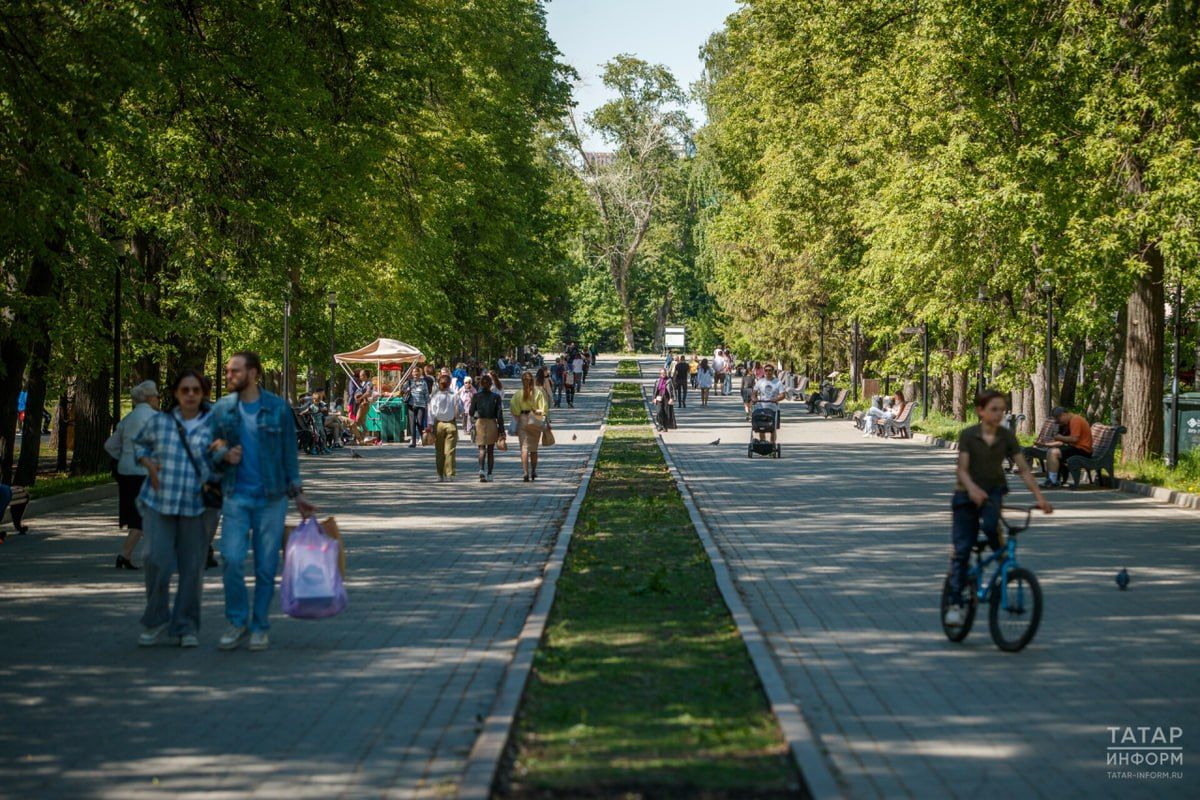 Как правильно собрать семена с собственного огорода? Рассказываем в карточках от «КВ» Как правильно собрать семена с собственного огорода? Рассказываем в карточках от «КВ»