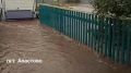 Женщину с собакой спасли во время потопа в Татарстане
