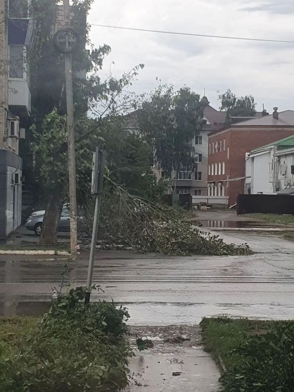 Ураган обрушился на Бугульму в Татарстане: в городе рухнули 59 деревьев Ураган обрушился на Бугульму в Татарстане: в городе рухнули 59 деревьев