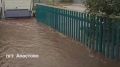 В Татарстане спасли пенсионерку с собакой из затопленного дома