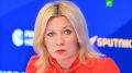 Восемь граждан Узбекистана и гражданин Таджикистана погибли при ударе Киева по Нижнекамску, сообщила Мария Захарова