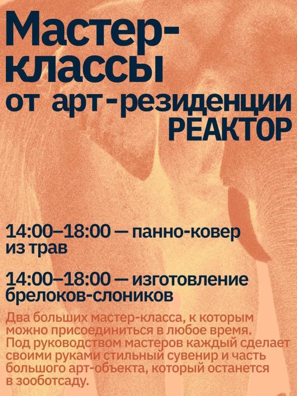 Слоновий праздник в Казани Слоновий праздник в Казани