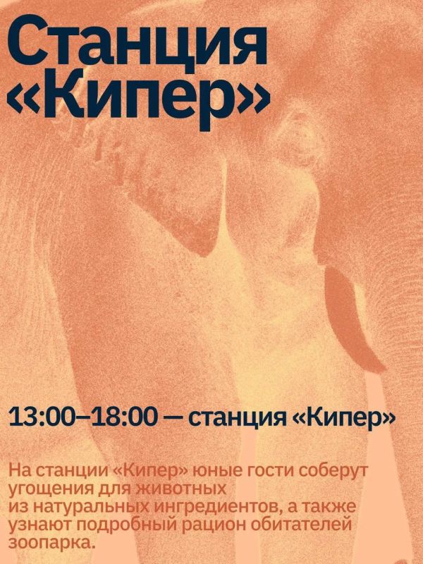 Слоновий праздник в Казани Слоновий праздник в Казани