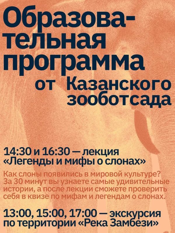 Слоновий праздник в Казани Слоновий праздник в Казани
