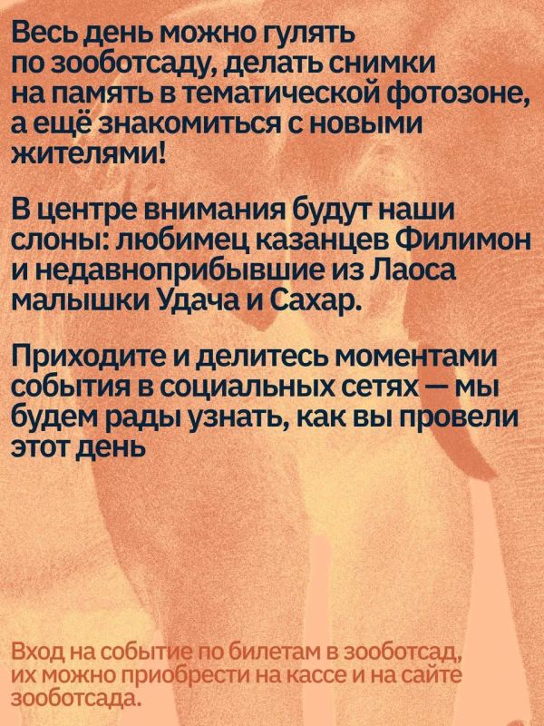 Слоновий праздник в Казани Слоновий праздник в Казани