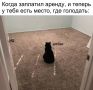 Цены на аренду жилья в Казани за лето не изменились