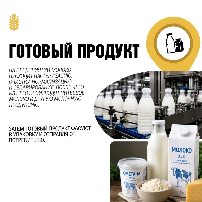 Как молоко проходит путь от фермы до готового продукта? Как молоко проходит путь от фермы до готового продукта?