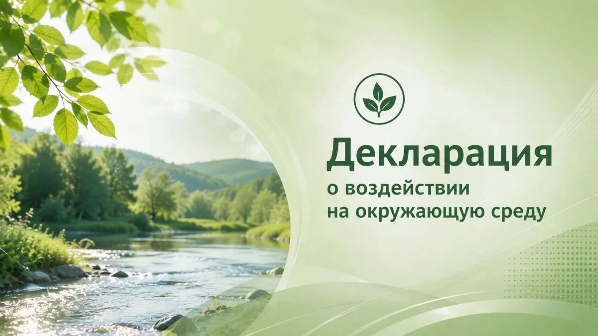 С 1 сентября меняется порядок подачи декларации о плате за НВОС