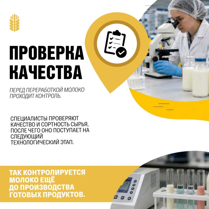 Как молоко проходит путь от фермы до готового продукта? Как молоко проходит путь от фермы до готового продукта?