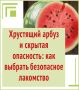 Как выбрать безопасный арбуз? Отвечаем в карточках
