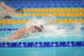 European Aquatics ������� ������: ������ ���� ����������� ������� ��