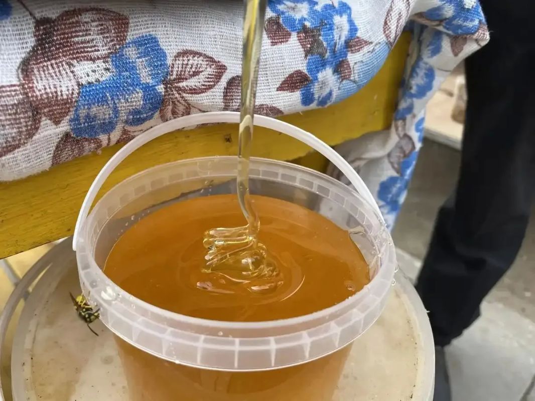 Опытные пчеловоды из Аксубаевского района, супруги Анатолий и Людмила Морозовы, уже 14 лет продают свой мед на одном из рынков Нижнекамска Опытные пчеловоды из Аксубаевского района, супруги Анатолий и Людмила Морозовы, уже 14 лет продают свой мед на одном из рынков Нижнекамска