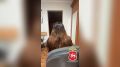 ������������� ���������� � ��������� ������ � ���������� ����������� ����� 13 ��� ������