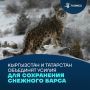 Снежный барс под защитой науки: в Кыргызстане создадут научно-исследовательский центр