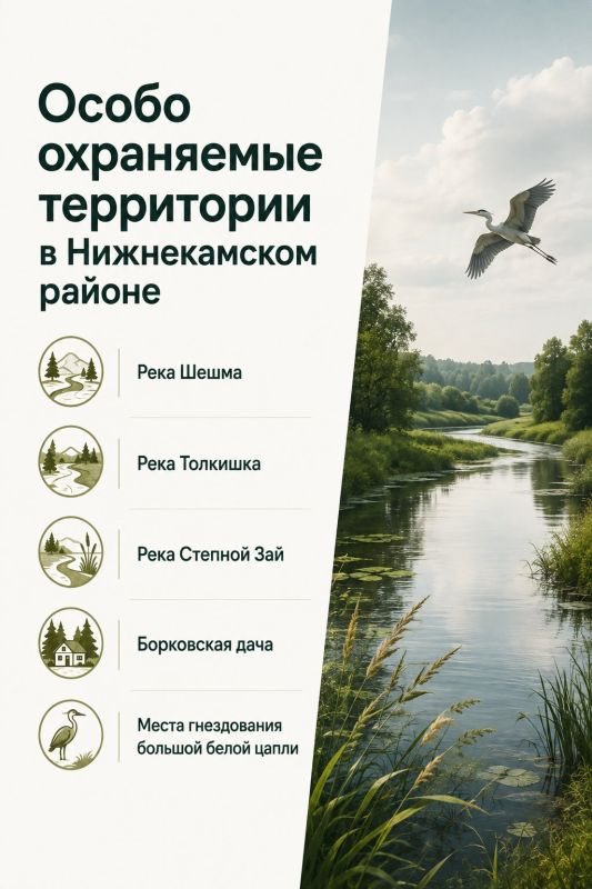 Заповедники, заказники, ботанические сады, национальные и природные парки имеют статус особо охраняемых природных территорий Заповедники, заказники, ботанические сады, национальные и природные парки имеют статус особо охраняемых природных территорий